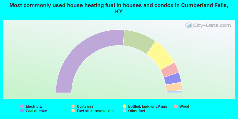 Most commonly used house heating fuel in houses and condos in Cumberland Falls, KY