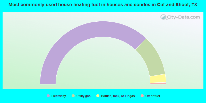 Most commonly used house heating fuel in houses and condos in Cut and Shoot, TX