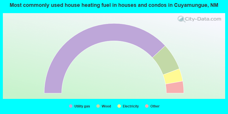 Most commonly used house heating fuel in houses and condos in Cuyamungue, NM