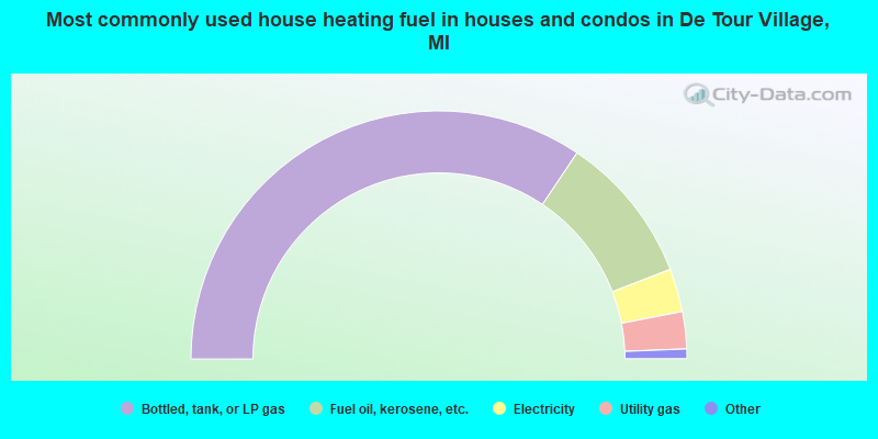 Most commonly used house heating fuel in houses and condos in De Tour Village, MI