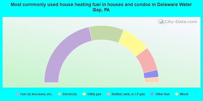 Most commonly used house heating fuel in houses and condos in Delaware Water Gap, PA