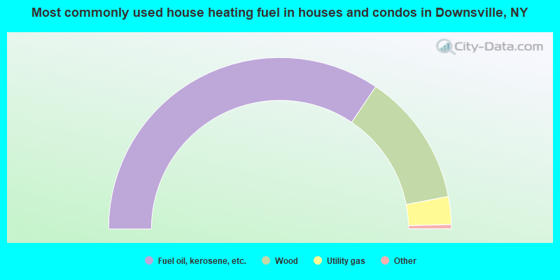 Most commonly used house heating fuel in houses and condos in Downsville, NY