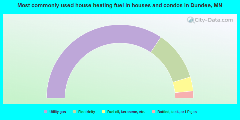 Most commonly used house heating fuel in houses and condos in Dundee, MN