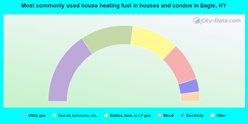 Most commonly used house heating fuel in houses and condos in Eagle, NY
