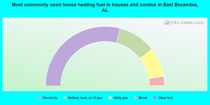 Most commonly used house heating fuel in houses and condos in East Escambia, AL