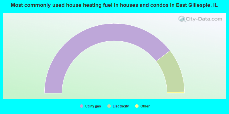 Most commonly used house heating fuel in houses and condos in East Gillespie, IL