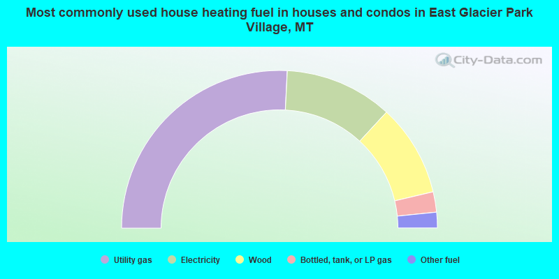 Most commonly used house heating fuel in houses and condos in East Glacier Park Village, MT