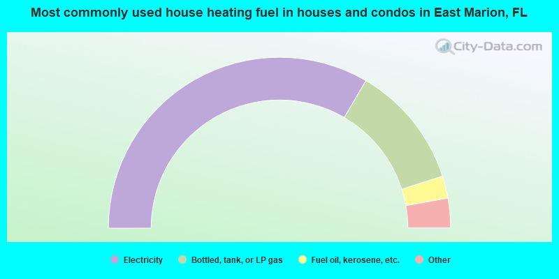 Most commonly used house heating fuel in houses and condos in East Marion, FL