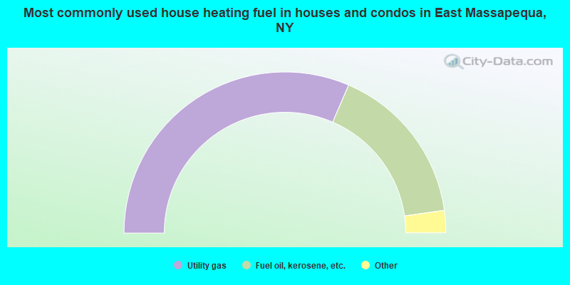 Most commonly used house heating fuel in houses and condos in East Massapequa, NY