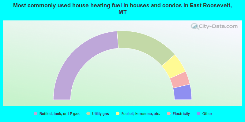Most commonly used house heating fuel in houses and condos in East Roosevelt, MT