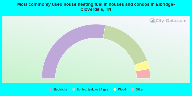Most commonly used house heating fuel in houses and condos in Elbridge-Cloverdale, TN