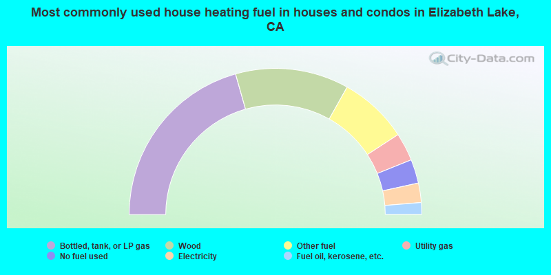Most commonly used house heating fuel in houses and condos in Elizabeth Lake, CA
