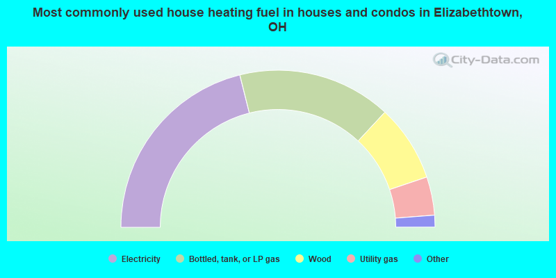 Most commonly used house heating fuel in houses and condos in Elizabethtown, OH