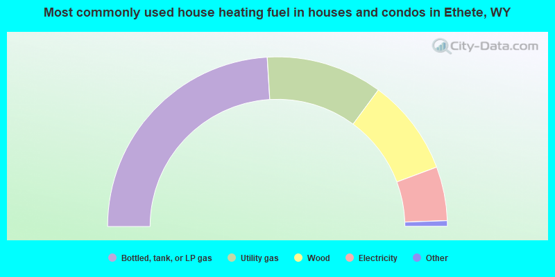 Most commonly used house heating fuel in houses and condos in Ethete, WY