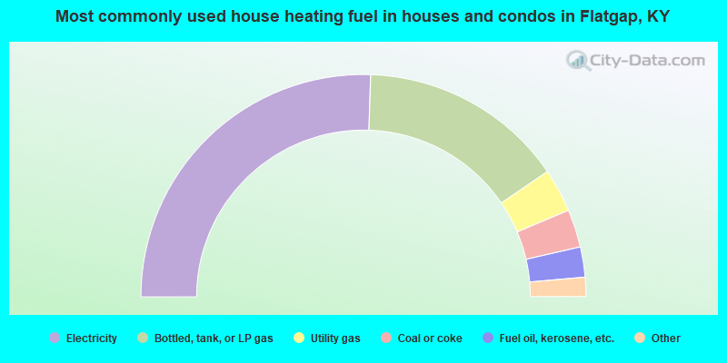 Most commonly used house heating fuel in houses and condos in Flatgap, KY