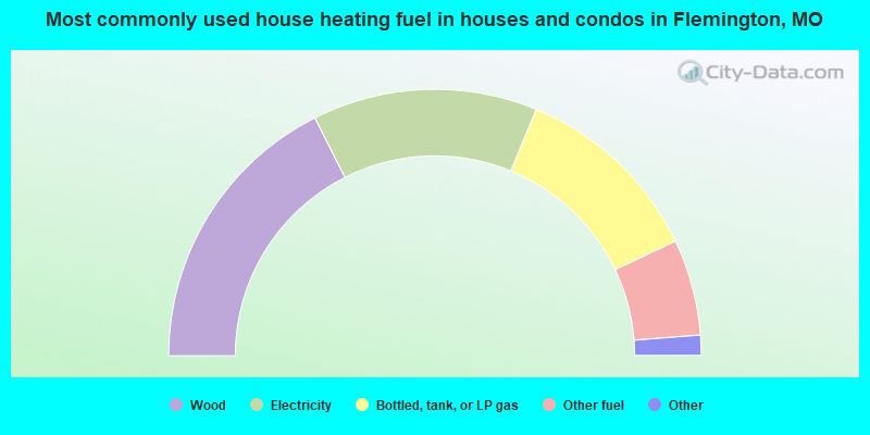 Most commonly used house heating fuel in houses and condos in Flemington, MO