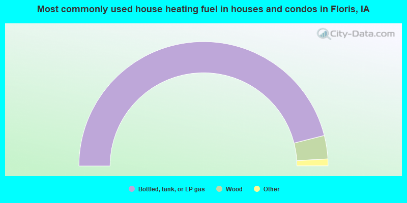Most commonly used house heating fuel in houses and condos in Floris, IA