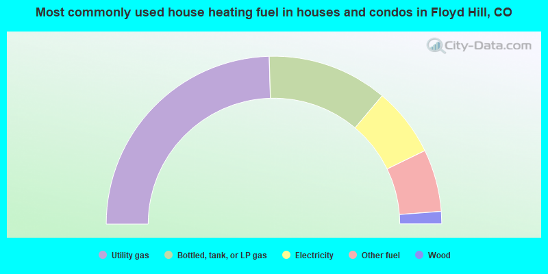 Most commonly used house heating fuel in houses and condos in Floyd Hill, CO