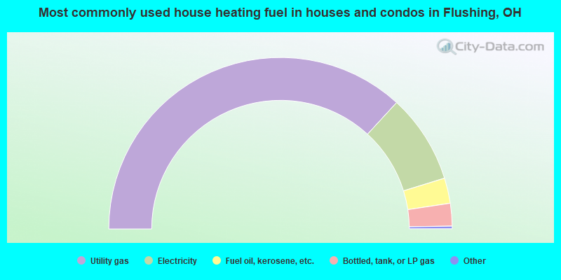 Most commonly used house heating fuel in houses and condos in Flushing, OH