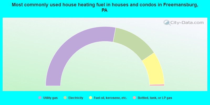 Most commonly used house heating fuel in houses and condos in Freemansburg, PA