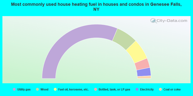 Most commonly used house heating fuel in houses and condos in Genesee Falls, NY
