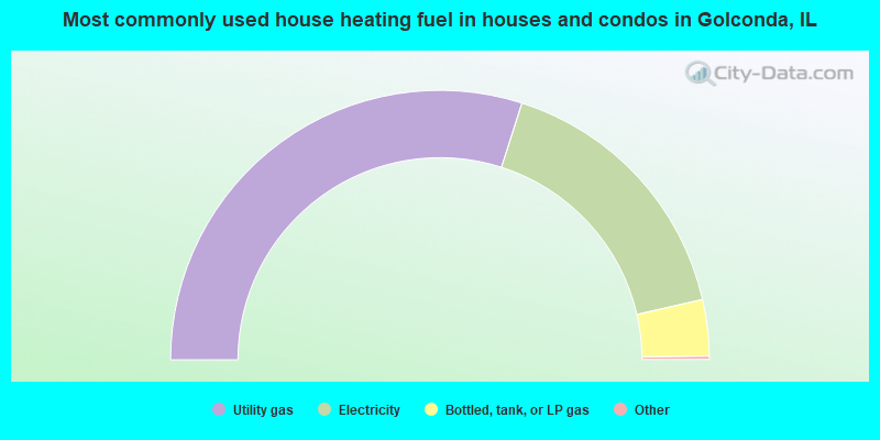 Most commonly used house heating fuel in houses and condos in Golconda, IL