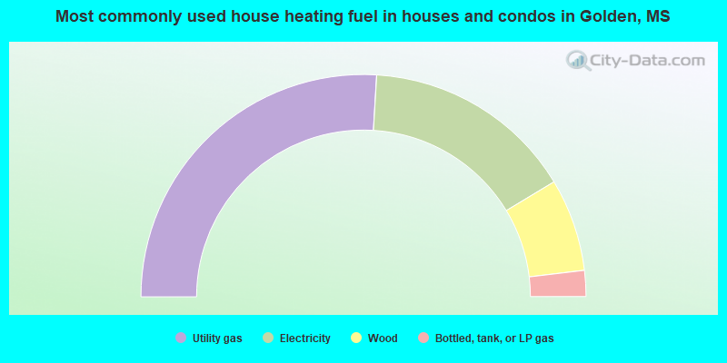 Most commonly used house heating fuel in houses and condos in Golden, MS