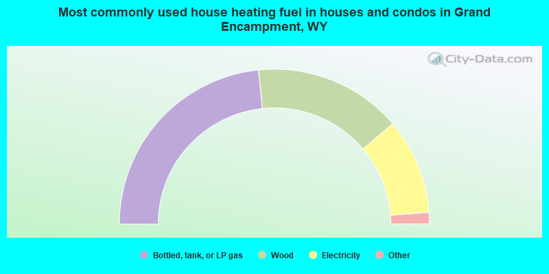 Most commonly used house heating fuel in houses and condos in Grand Encampment, WY