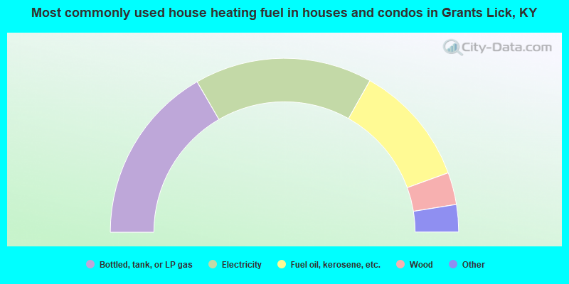 Most commonly used house heating fuel in houses and condos in Grants Lick, KY