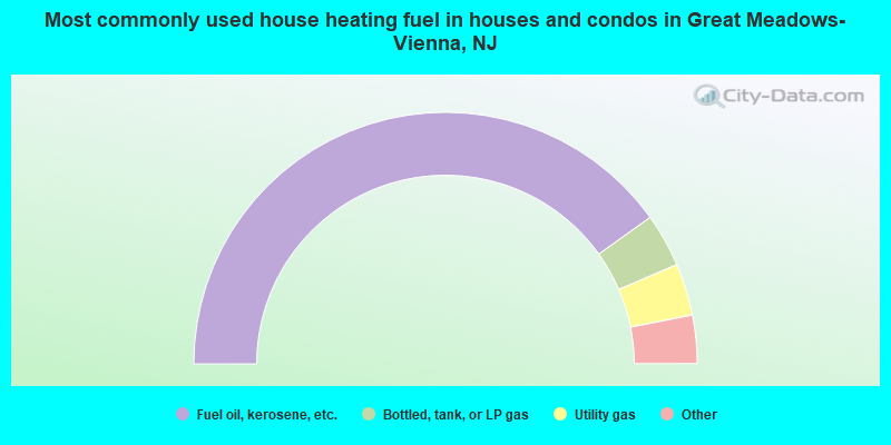 Most commonly used house heating fuel in houses and condos in Great Meadows-Vienna, NJ