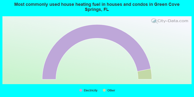 Most commonly used house heating fuel in houses and condos in Green Cove Springs, FL