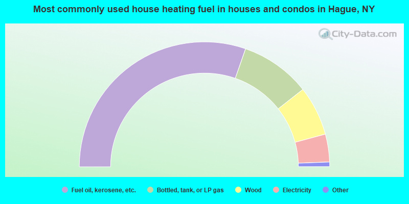 Most commonly used house heating fuel in houses and condos in Hague, NY