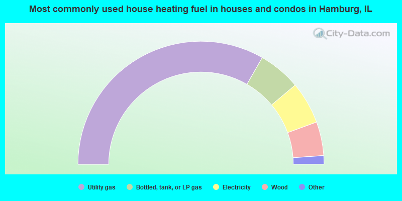 Most commonly used house heating fuel in houses and condos in Hamburg, IL
