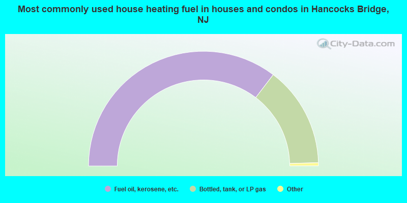 Most commonly used house heating fuel in houses and condos in Hancocks Bridge, NJ