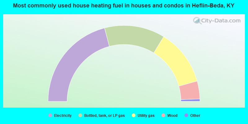 Most commonly used house heating fuel in houses and condos in Heflin-Beda, KY