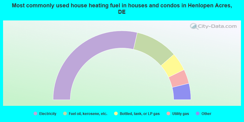 Most commonly used house heating fuel in houses and condos in Henlopen Acres, DE