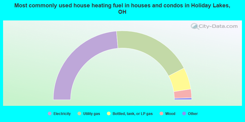 Most commonly used house heating fuel in houses and condos in Holiday Lakes, OH
