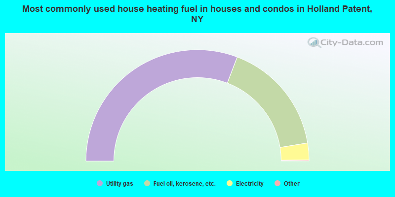 Most commonly used house heating fuel in houses and condos in Holland Patent, NY