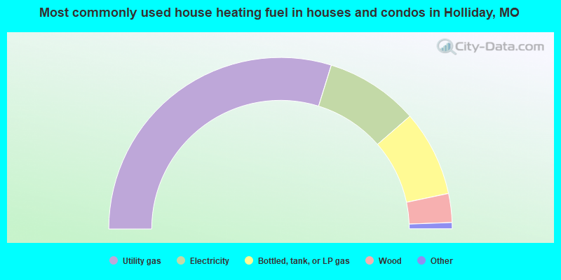 Most commonly used house heating fuel in houses and condos in Holliday, MO