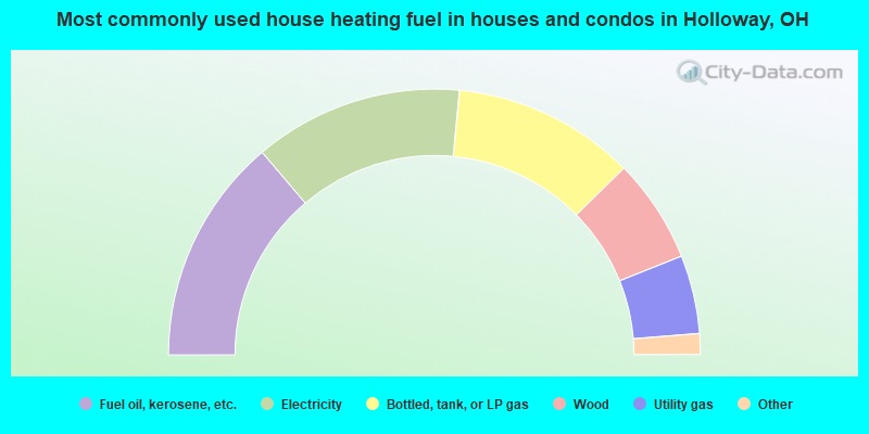 Most commonly used house heating fuel in houses and condos in Holloway, OH