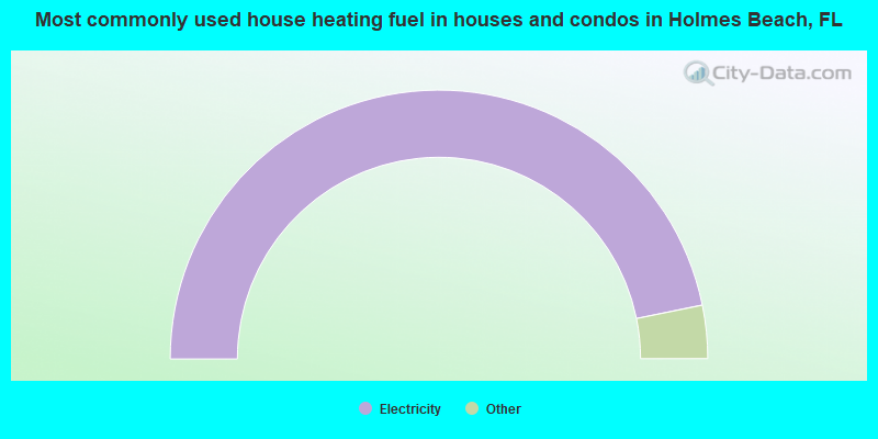 Most commonly used house heating fuel in houses and condos in Holmes Beach, FL