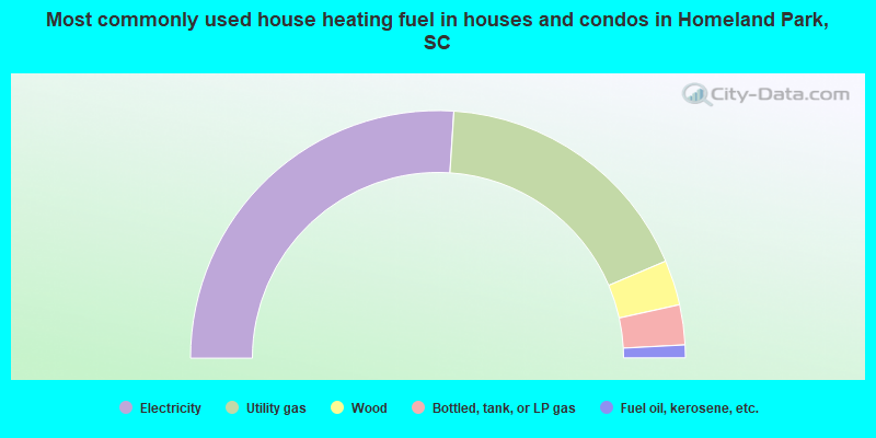 Most commonly used house heating fuel in houses and condos in Homeland Park, SC