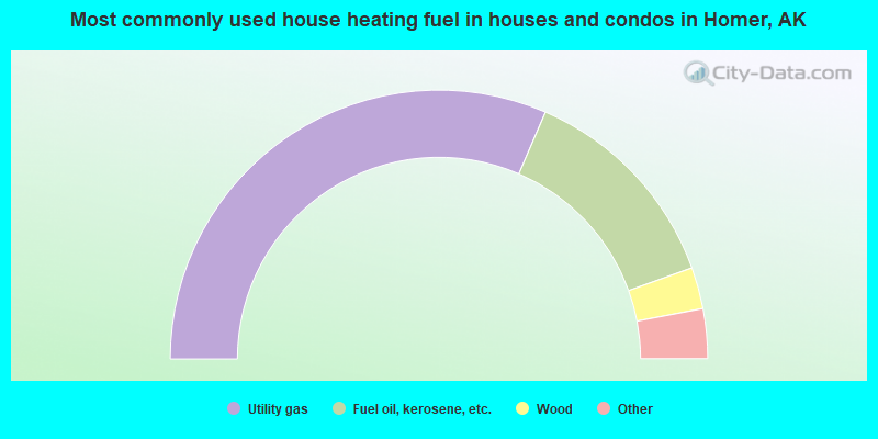 Most commonly used house heating fuel in houses and condos in Homer, AK