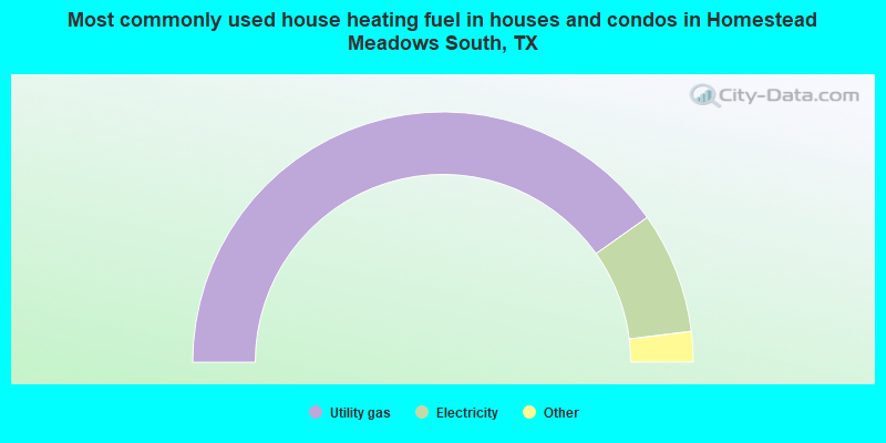 Most commonly used house heating fuel in houses and condos in Homestead Meadows South, TX