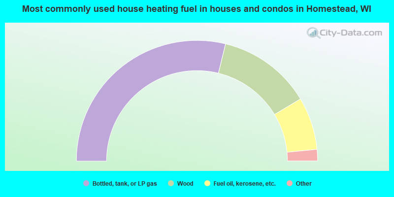 Most commonly used house heating fuel in houses and condos in Homestead, WI