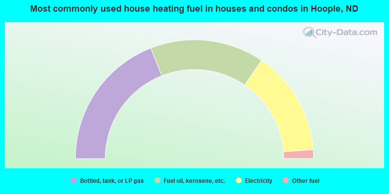Most commonly used house heating fuel in houses and condos in Hoople, ND