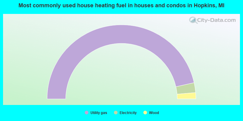 Most commonly used house heating fuel in houses and condos in Hopkins, MI