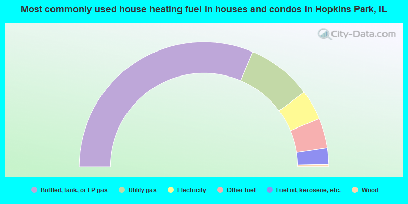 Most commonly used house heating fuel in houses and condos in Hopkins Park, IL