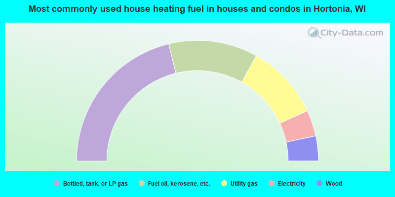 Most commonly used house heating fuel in houses and condos in Hortonia, WI
