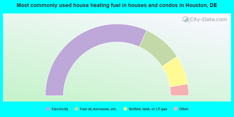 Most commonly used house heating fuel in houses and condos in Houston, DE